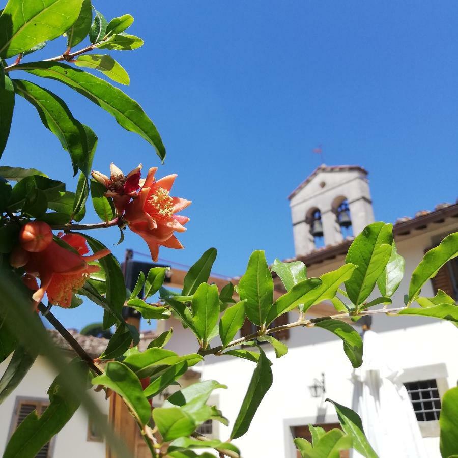 Апартаменты Borgo Sant'Andrea Al Pozzo Кастильон-Фьорентино Экстерьер фото